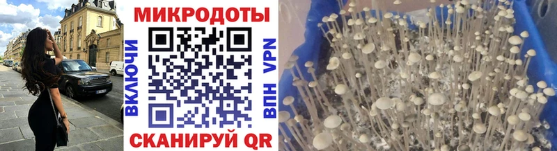 где найти   Красноярск  Галлюциногенные грибы GOLDEN TEACHER 